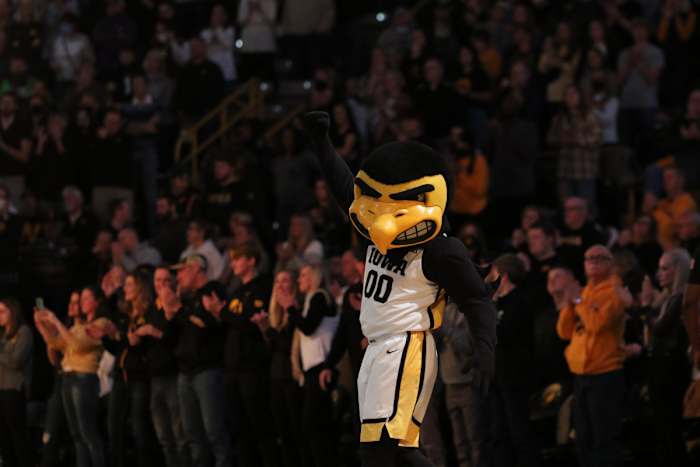 Basketball Herky